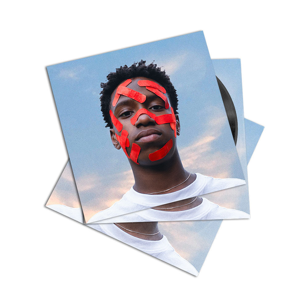 Schönheit die in Schmerzen liegt • Vinyl